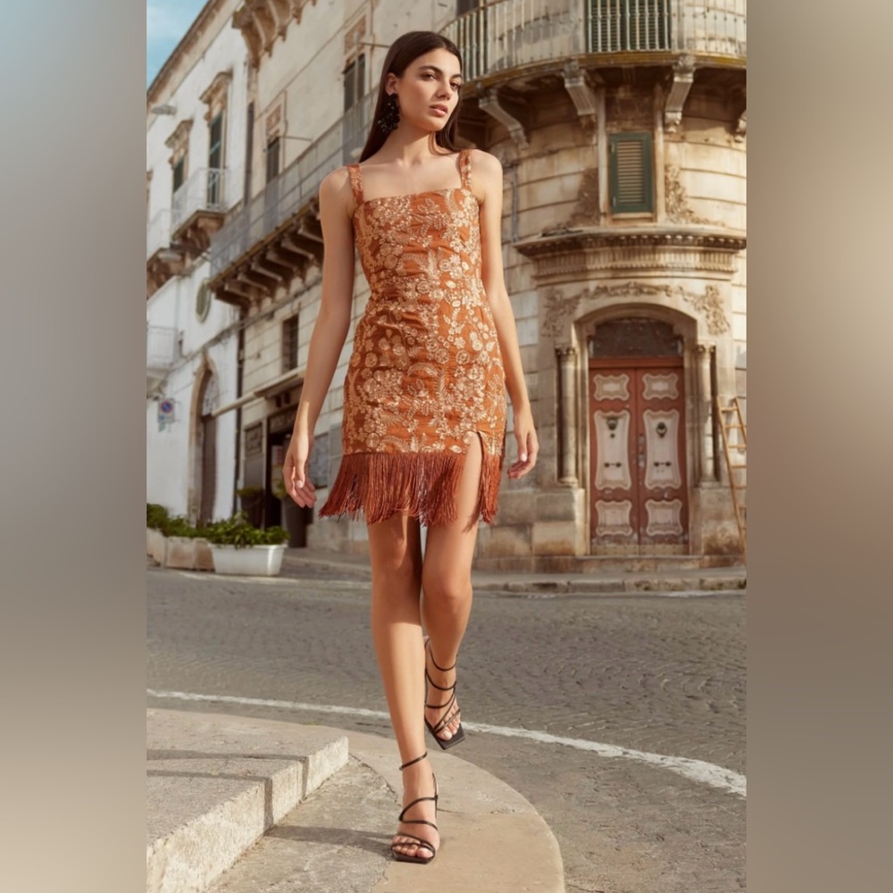 NWT Eddy ‘Mary Embroidered Fringe Dress’ in Copper Size 10